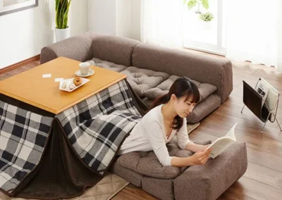 HERGA ENERGY Brasero Hot Feel para kotatsu